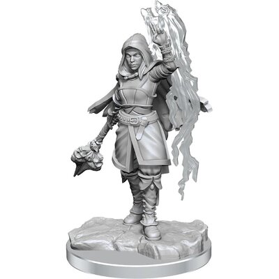 D&D Nolzur's Marvelous Miniatures - Half-Elf Warlock