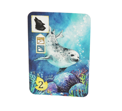 Na louce - Promo karta Dice Tower