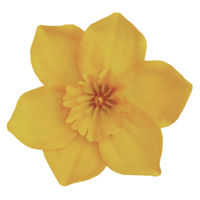 Virtuálny narcis za 5 €