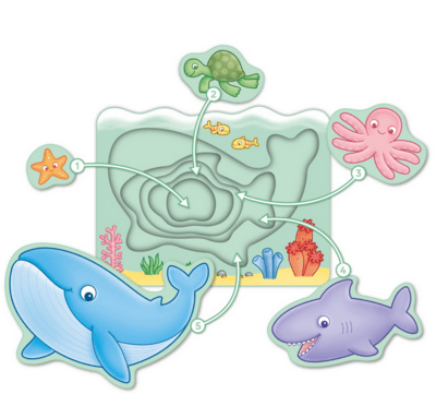Under the Sea puzzle (Pod hladinou)
