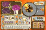 Terra Mystica: Fan Factions (expansion)