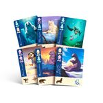 Borealis: Arctic Expeditions