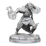 D&D Nolzur's Marvelous Miniatures - Half-Elf Warlock