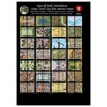 Giant Book of Battle Mats - Dragon Lairs & Dungeons