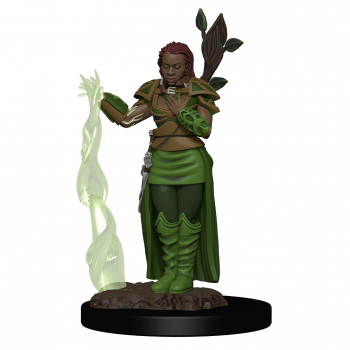 D&D Icons of the Realms Premium Figures - Human Female Druid