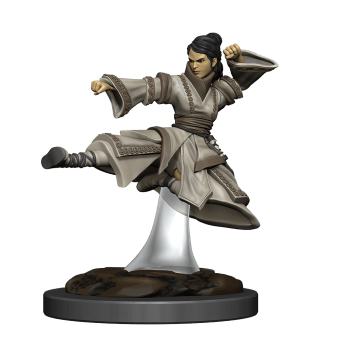 D&D Icons of the Realms Premium Painted Figure - Human Monk Female