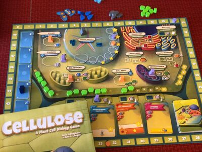 Cellulose: A plant cell biology game
