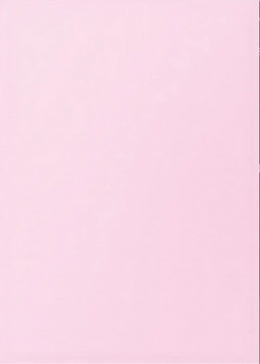 Obaly Dragon Shield Standard Sleeves - Matte Dual Blossom (100 ks)