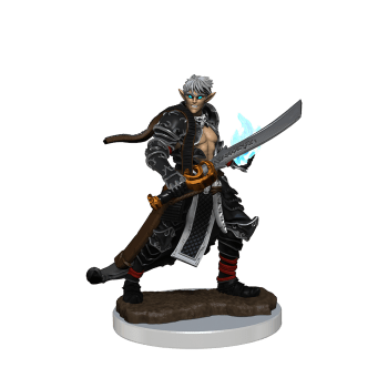 Pathfinder: Premium Painted Figure - Male Elf Magus