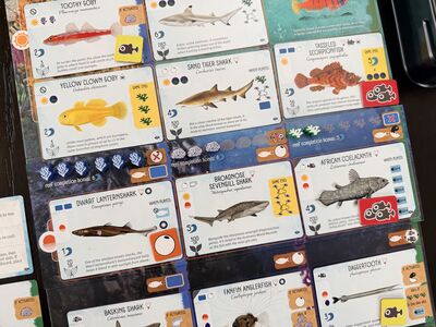 Finspan: Sharks & Reefs (expansion)
