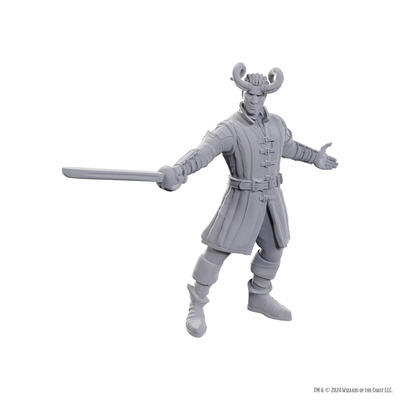 D&D Nolzur's Marvelous Miniatures - Special Edition Baldur's Gate 3 - Wyll & Karlach