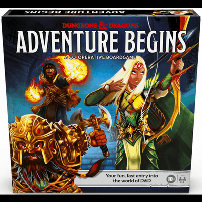 Dungeons and Dragons:  Adventure Begins