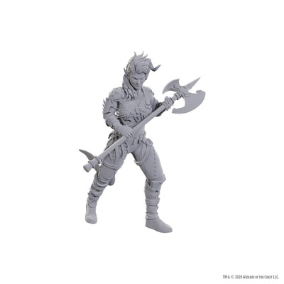 D&D Nolzur's Marvelous Miniatures - Special Edition Baldur's Gate 3 - Wyll & Karlach
