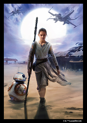 Star Wars: The Force Awakens: Rey - obaly na karty (50 ks)