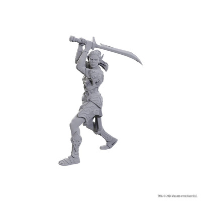 D&D Nolzur's Marvelous Miniatures - Special Edition Baldur's Gate 3 - Lae'zel & Shadowheart