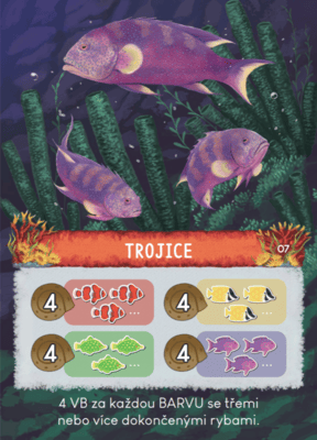 Pod hladinou: Velký bariérový útes