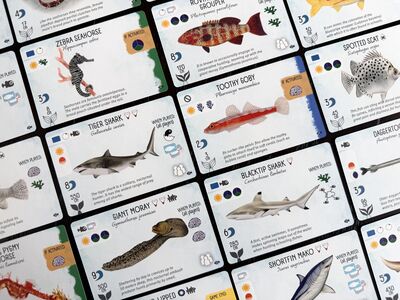 Finspan: Sharks & Reefs (expansion)