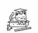 mačka vo vreci - dobráčka - pre škôlky, školy a neziskovky